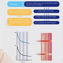 Load image into Gallery viewer, professional physiotherapy laser machine
