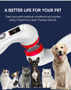 Cold laser therapy device for dogs horses cats