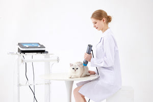 Shockwave Therapy Machine Pets