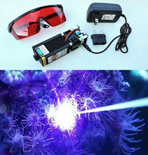 Load image into Gallery viewer, 6W aiptasia laser removal killing pest anemones by Zeus