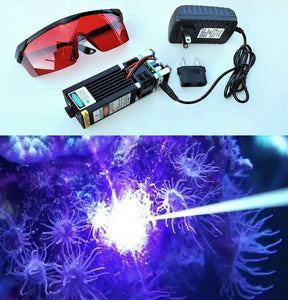 6W aiptasia laser removal killing pest anemones by Zeus